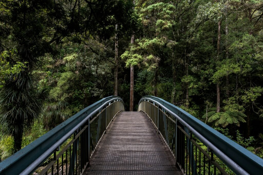About Us: Embracing Nature Connection by Getting Outdoors. Love Nature, Love Yourself! 1 About Us: Embracing Nature Connection by Getting Outdoors. Love Nature, Love Yourself!
