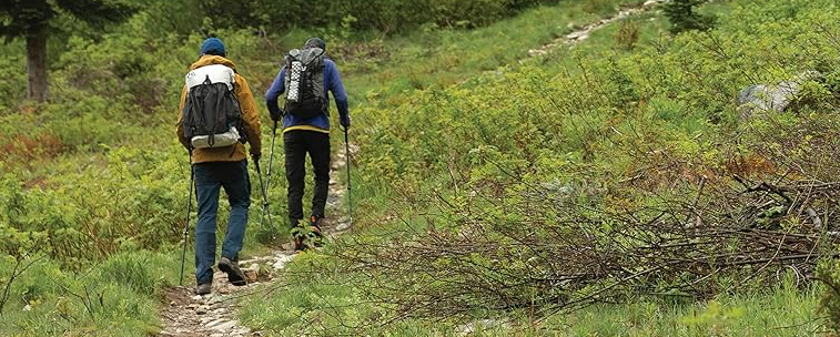Searching for the Best Trekking Poles: Aluminum vs Carbon Fiber, A Comprehensive Comparison for Outdoor Enthusiasts 3 Best Trekking Poles