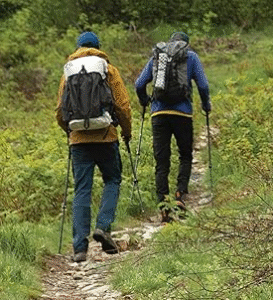 Searching for the Best Trekking Poles: Aluminum vs Carbon Fiber, A Comprehensive Comparison for Outdoor Enthusiasts