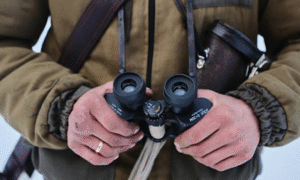 Best Binoculars for Hiking: Nikon Monarch M7 vs Vortex Diamondback HD – Outdoor Hiking and Birdwatching