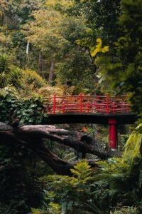 1st for Woman Hiking Tips, Essential Emergency Shelters, Gear & Safety for Your Wilderness Adventure