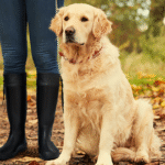 #1 Ultimate Guide to Asgard Rain Boots: Style Meets Functionality