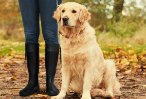 #1 Ultimate Guide to Asgard Rain Boots: Style Meets Functionality