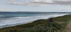 Garden Route Hiking: How to get Restored by the Power of Nature Trailblazing?