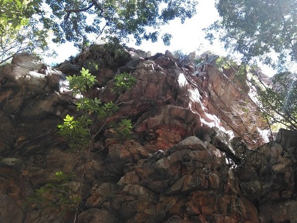 Garden Route Hiking: How to get Restored by the Power of Nature Trailblazing? 3 Garden Route Hiking